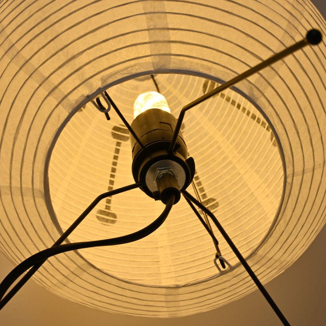 Modern Table Lamp