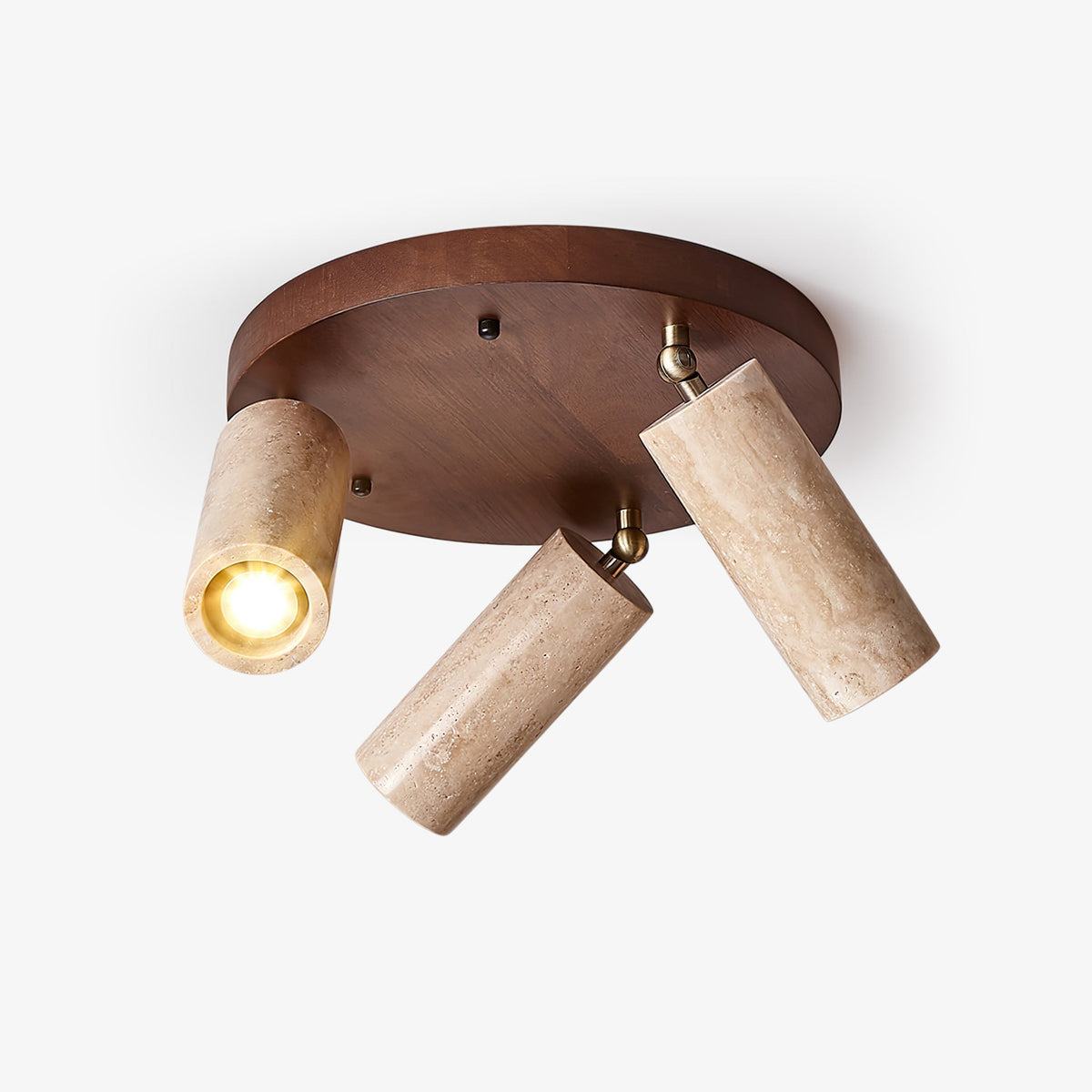 Terra Beam Ceiling Light