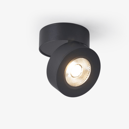 Round Rotating LED Downlight