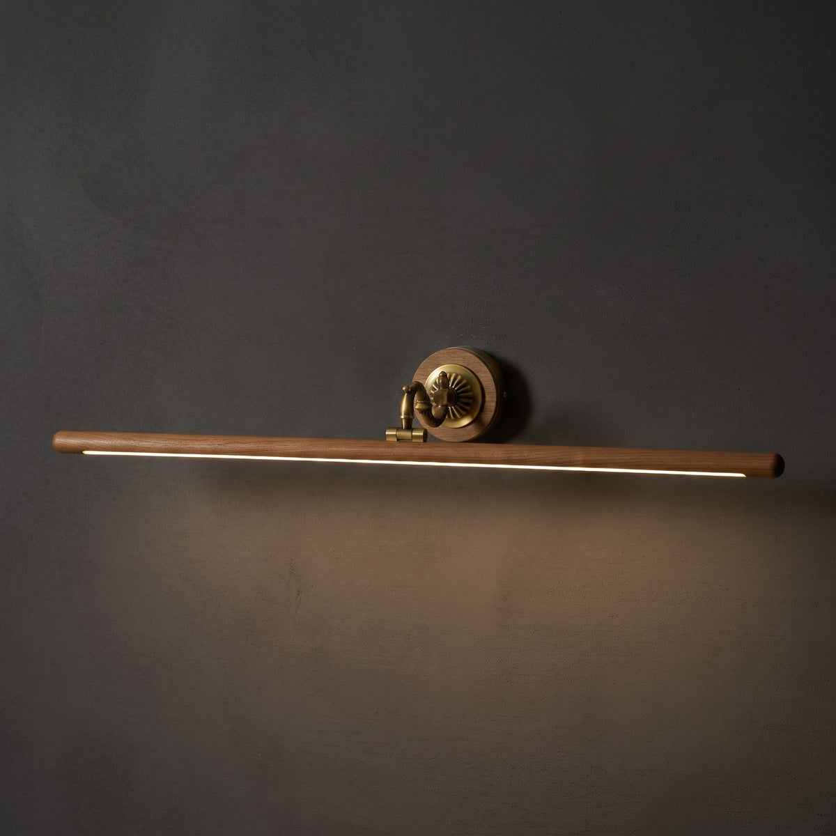 Adjustable Picture Wall Lamp