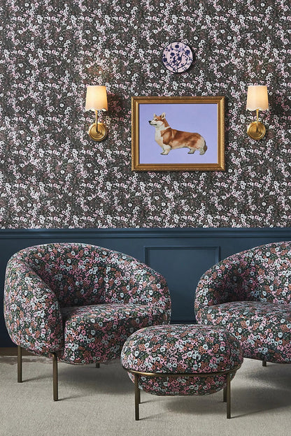 Ariel Wall Lamp