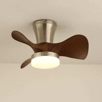 Arvento Ceiling Fan Light