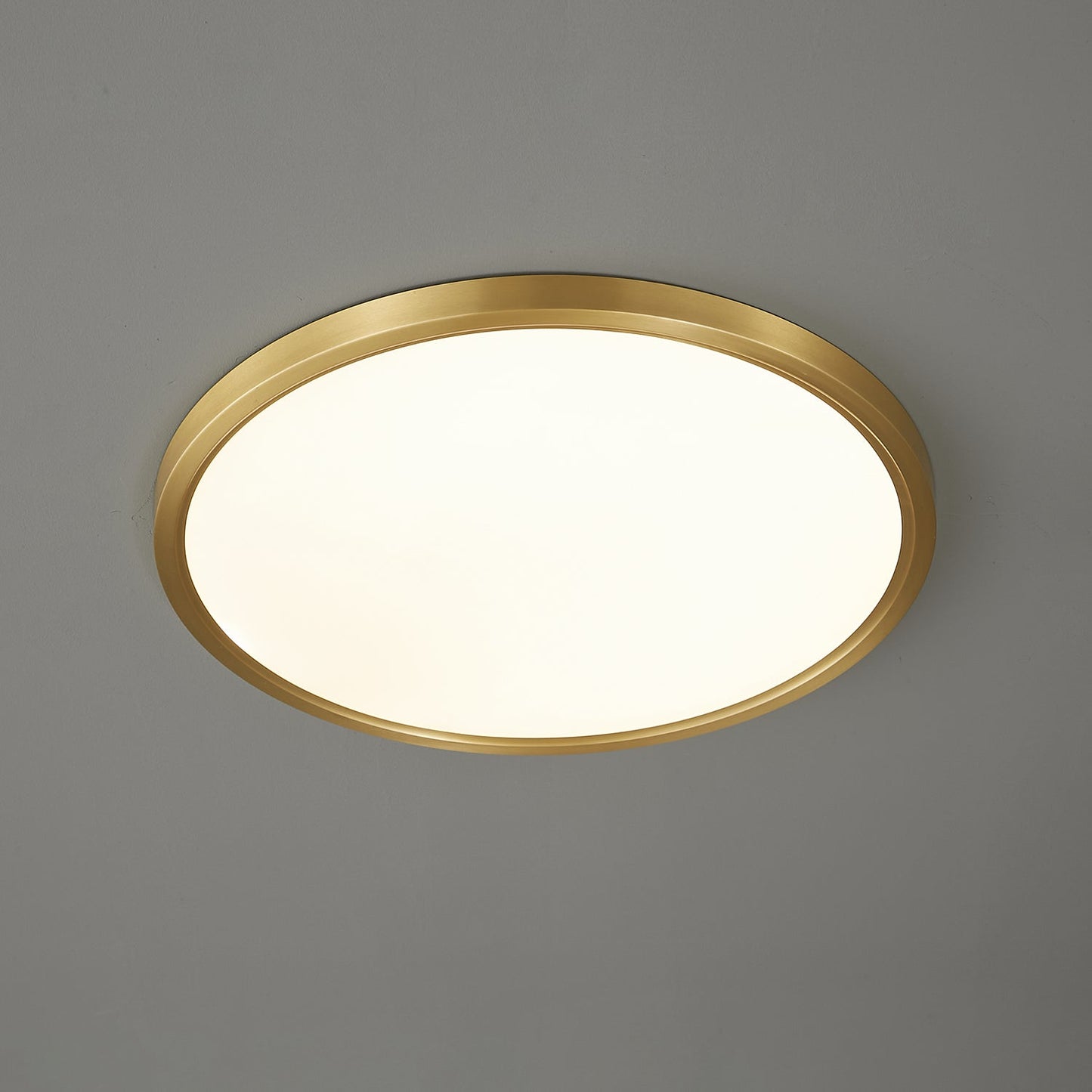 Aurea Disc Ceiling Light