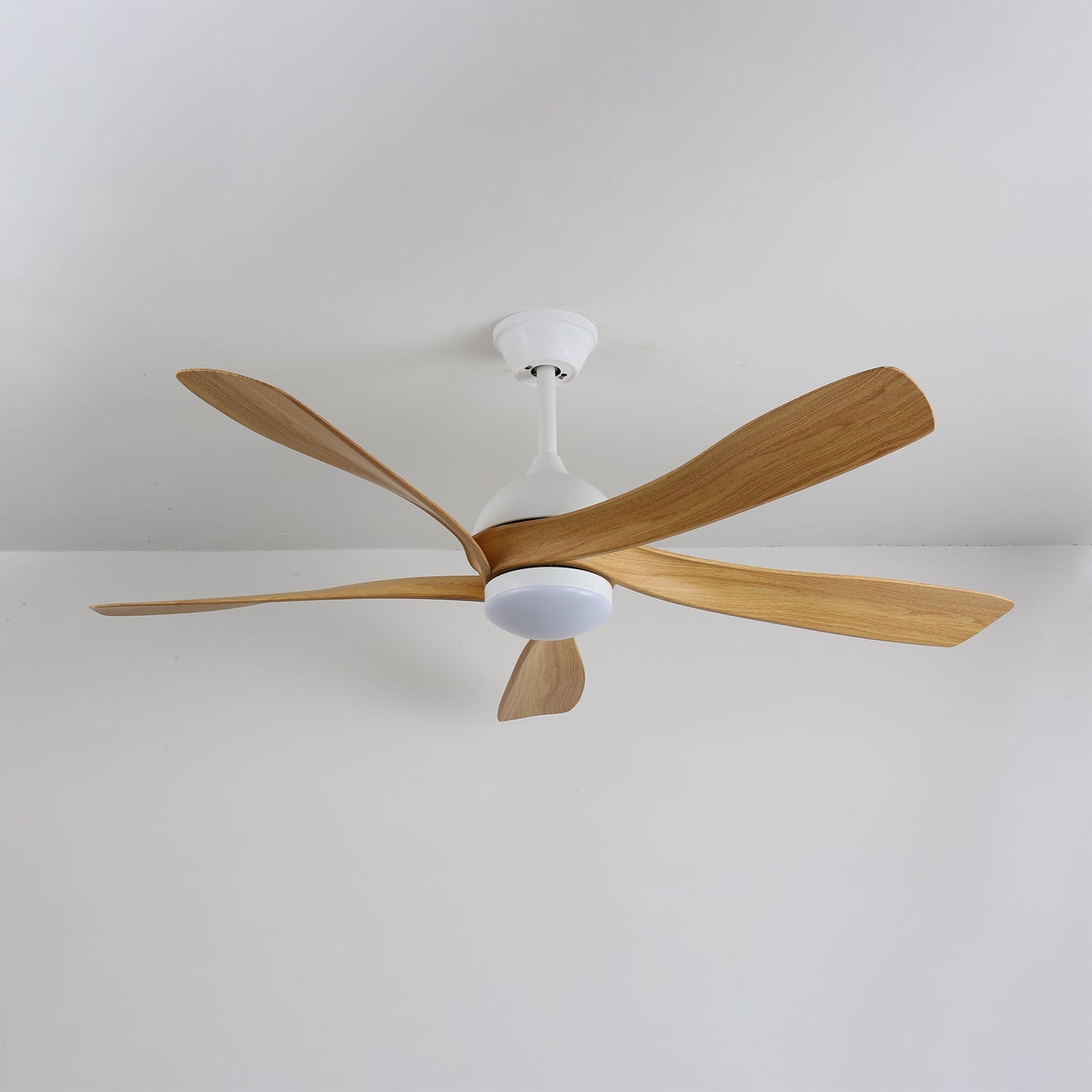Avenli Ceiling Fan Light