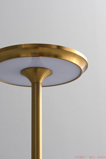 Rechargable LED reading lamp