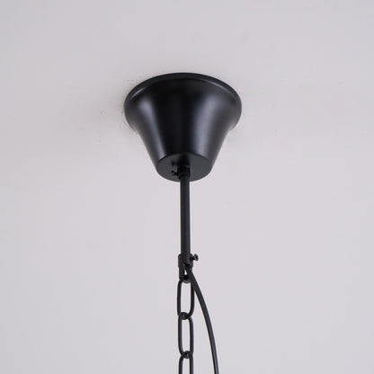 Braeden Pendant Light