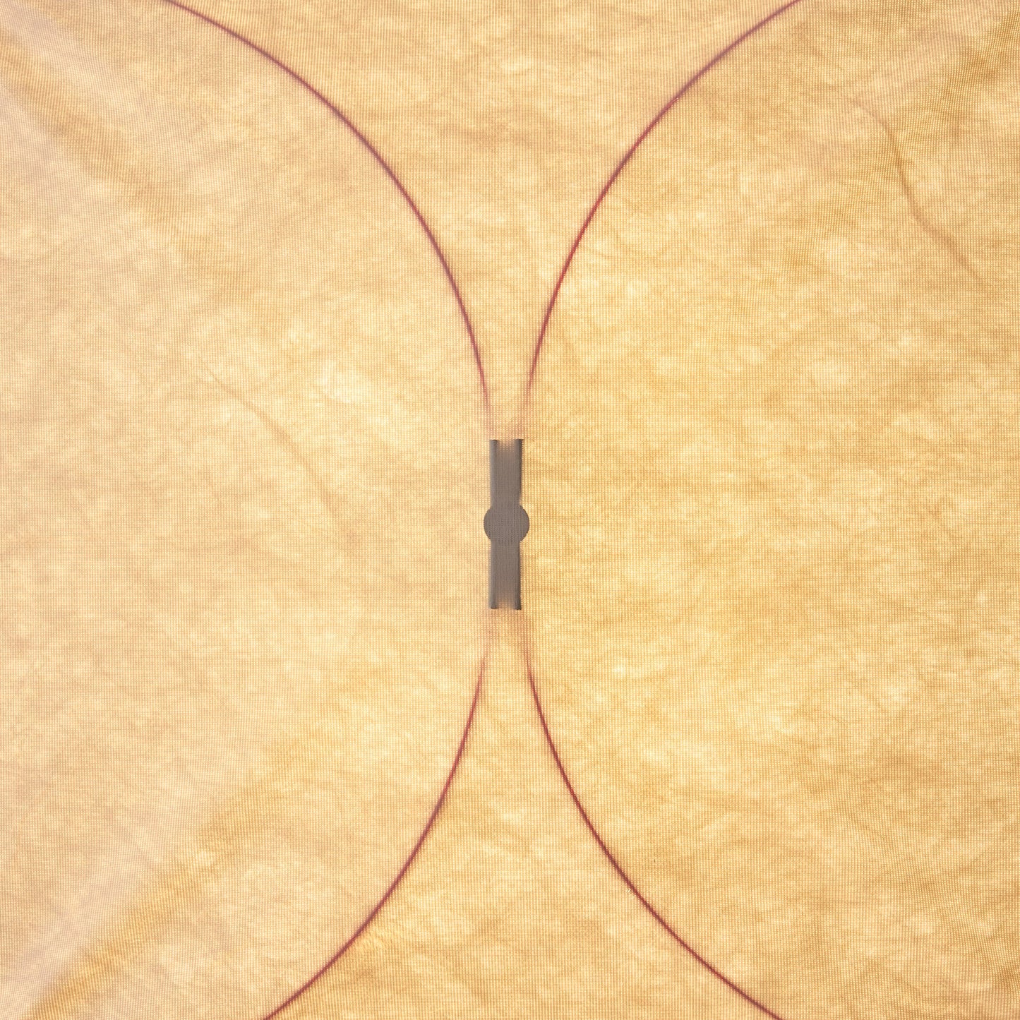 Kite Wall Light