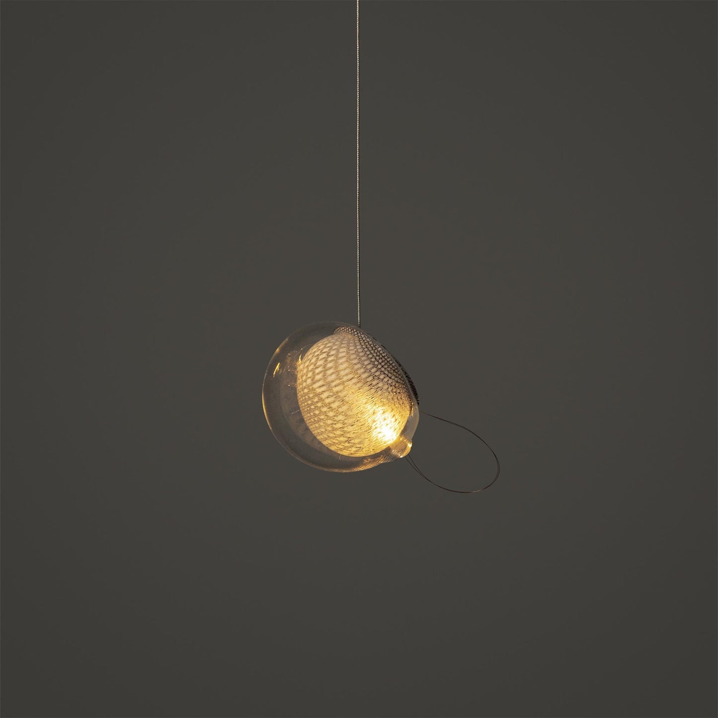 Mesh Glass Pendant Light
