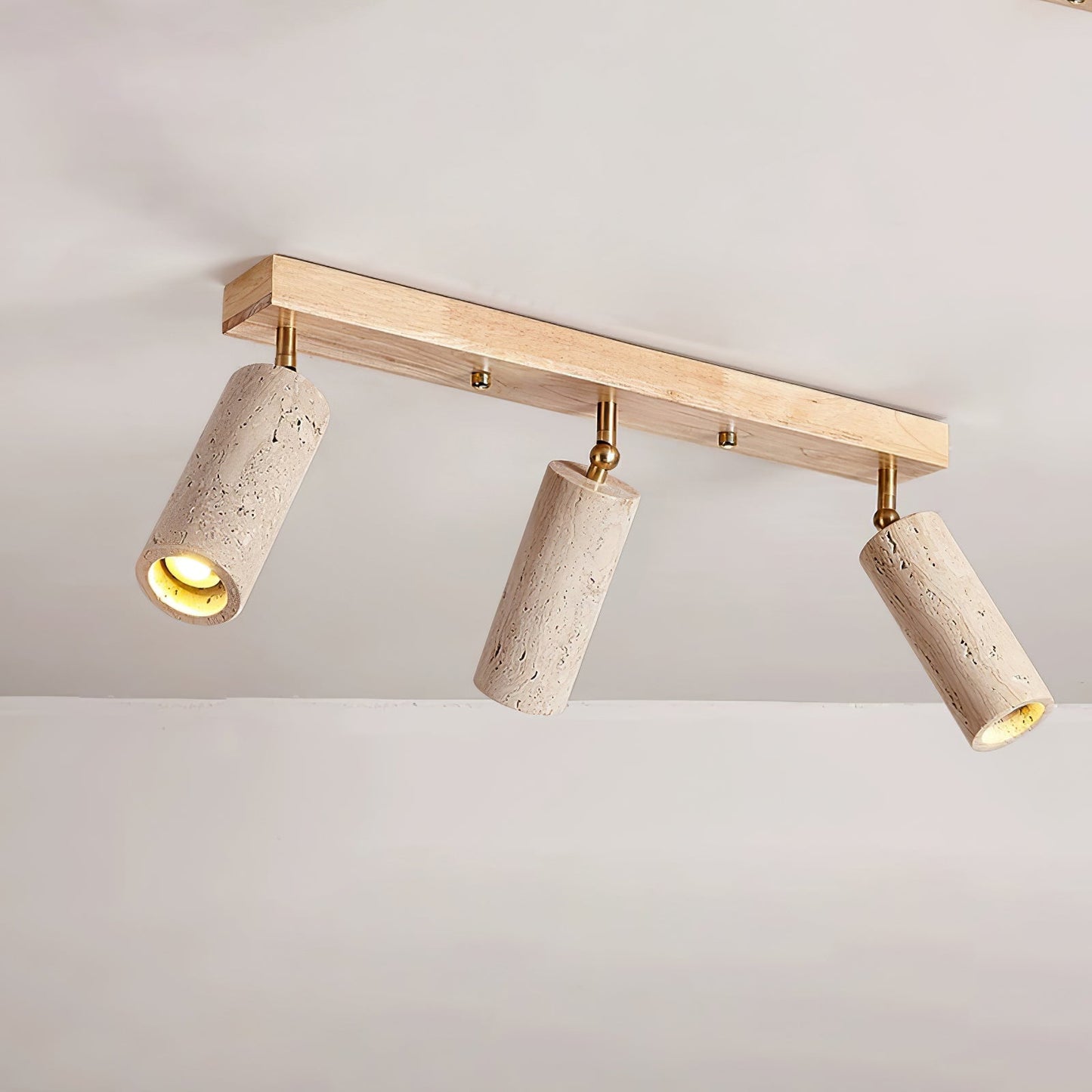 Nimbus Ceiling Spotlight