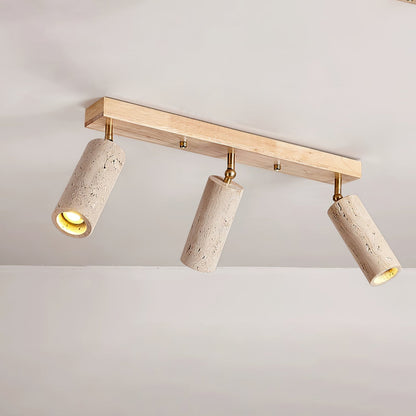 Nimbus Ceiling Spotlight