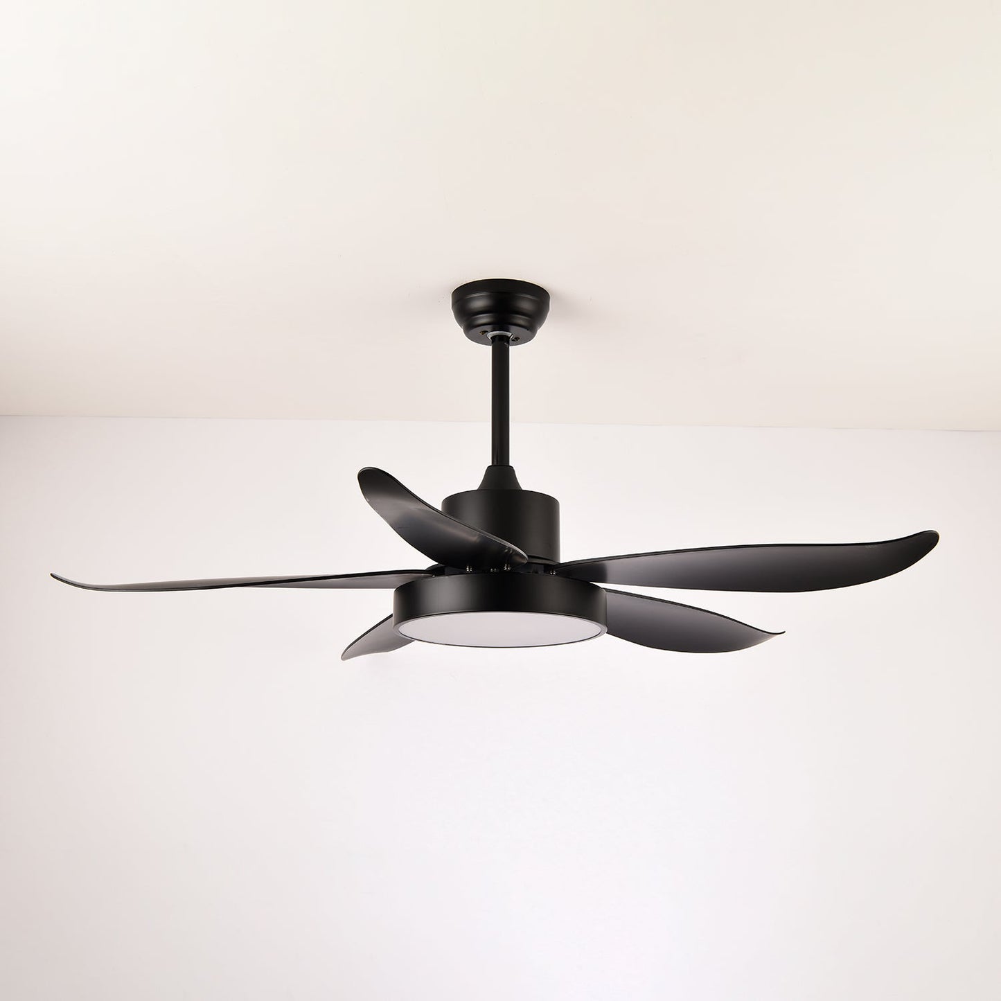 Noctura Glide Ceiling Fan Light