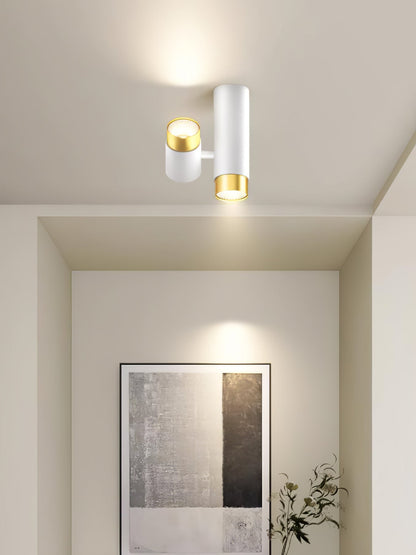 Puma Spotlight Ceiling Light