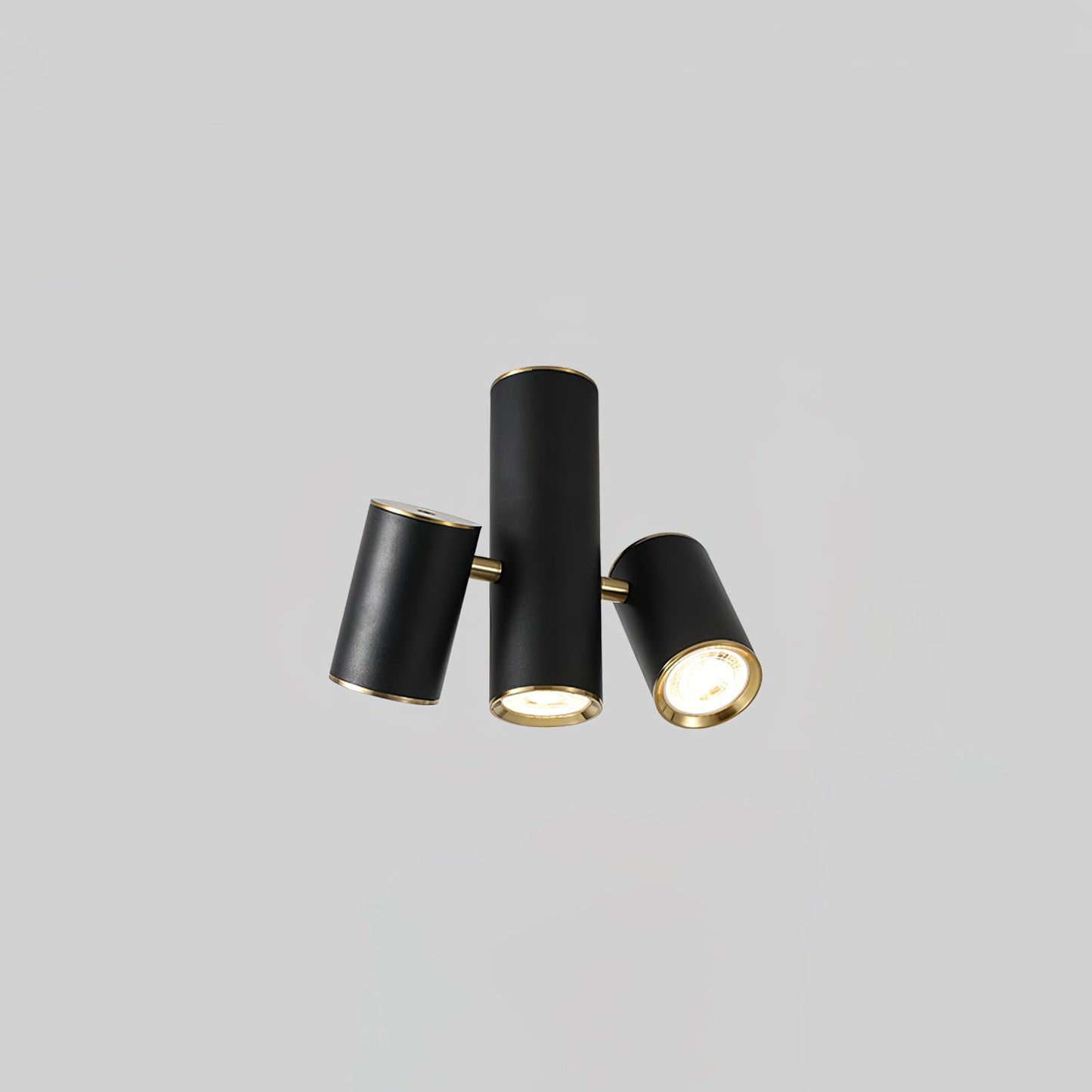 Puma Spotlight Ceiling Light