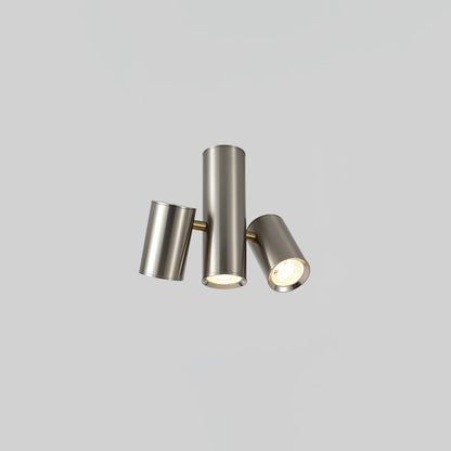 Puma Spotlight Ceiling Light