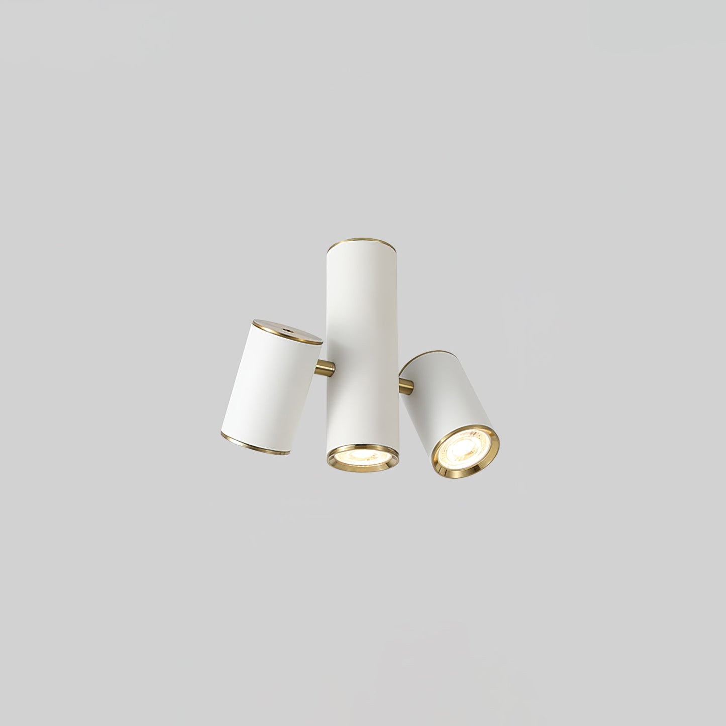 Puma Spotlight Ceiling Light