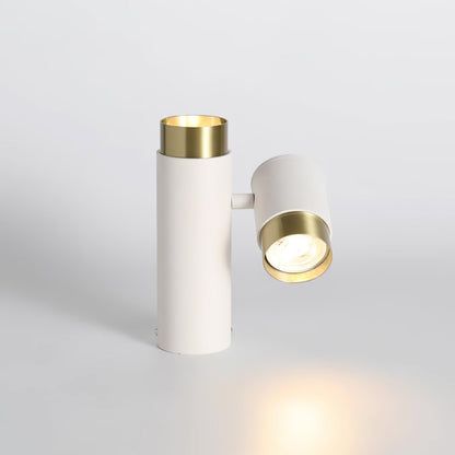Puma Spotlight Ceiling Light