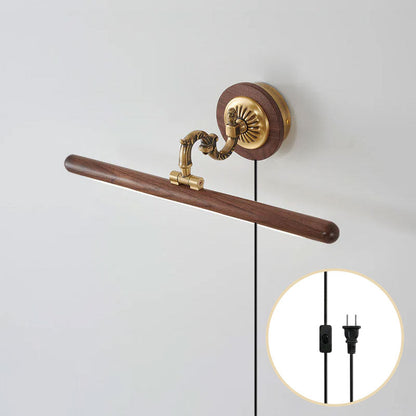Adjustable Picture Plug-in Wall Sconce