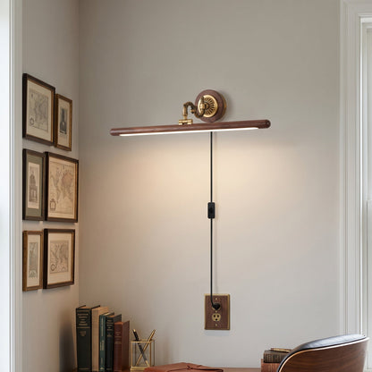 Adjustable Picture Plug-in Wall Sconce