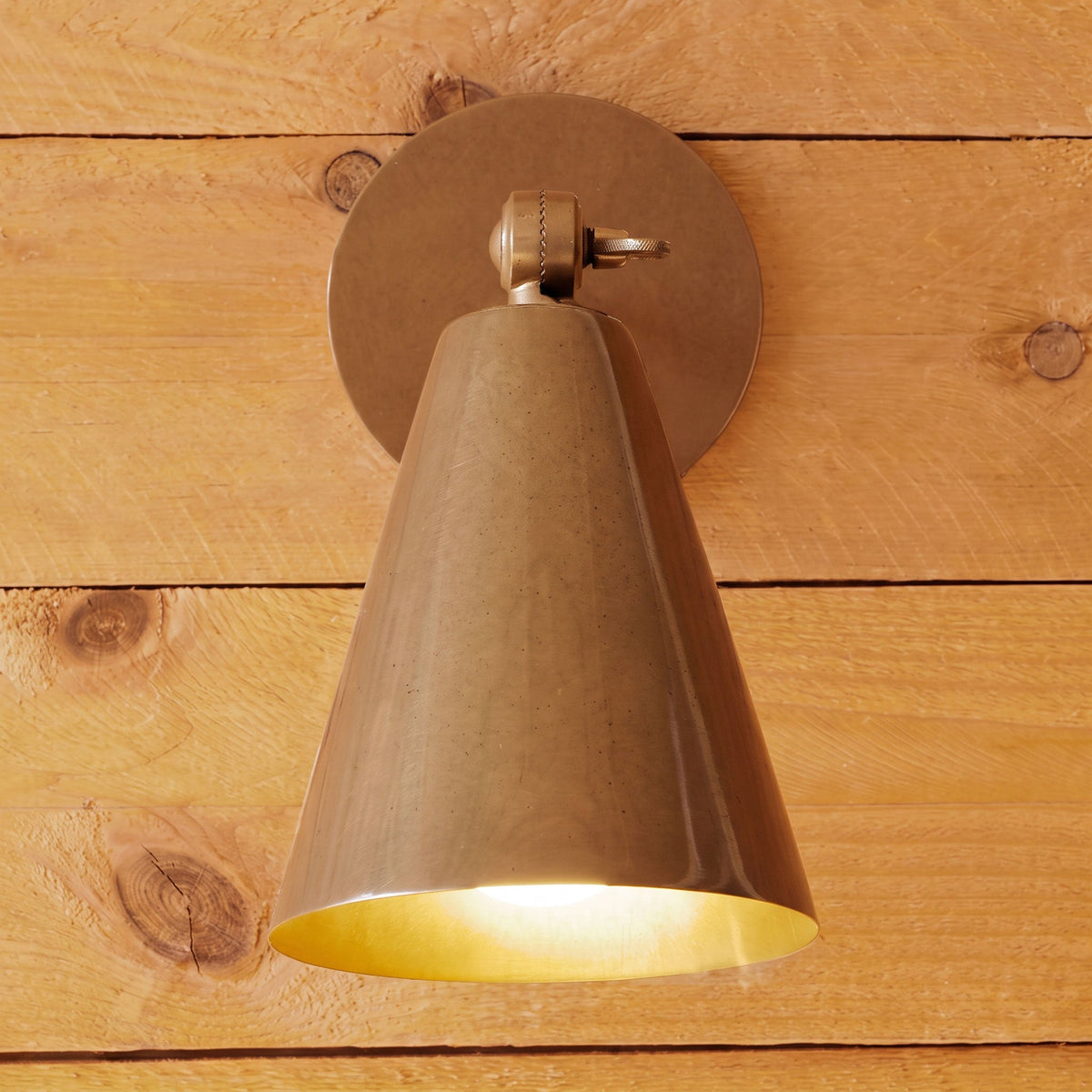 Cara Brass Wall Sconce