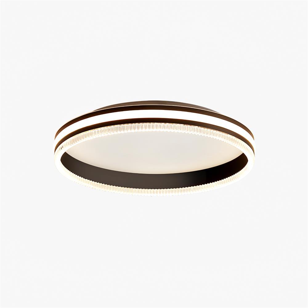 Simple Acrylic Ring Ceiling Light