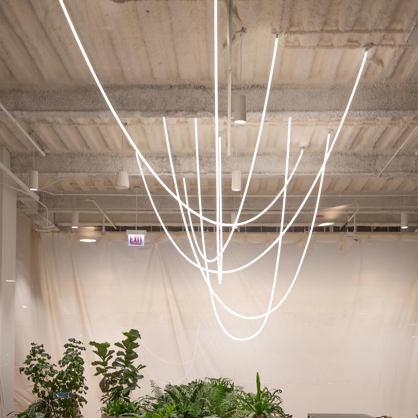 Flexible Curve Pendant Lamp