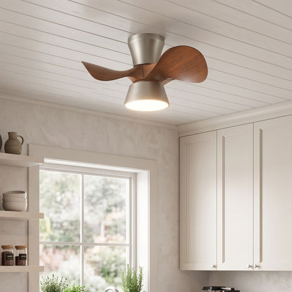 Corabelle Ceiling Fan Light